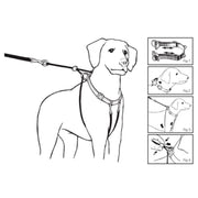 Mikki WalkRite Anti-Pull Harness - Dog Wear