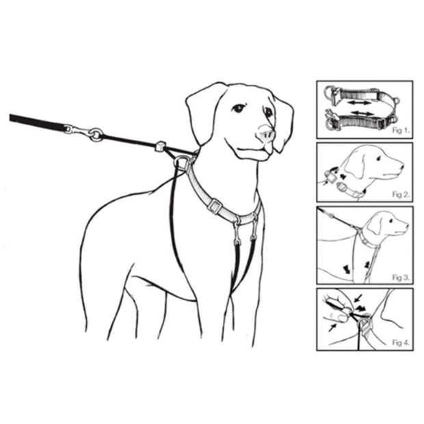 Mikki WalkRite Anti-Pull Harness - Dog Wear