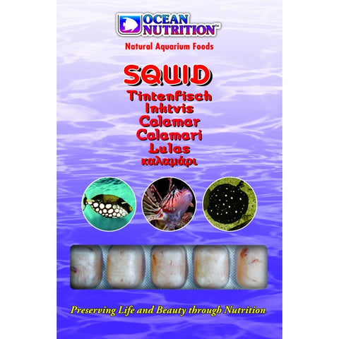 Ocean Nutrition Squid 100g