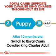Royal Canin BHN Cavalier King Charles Puppy 1.5kg - Dog Food