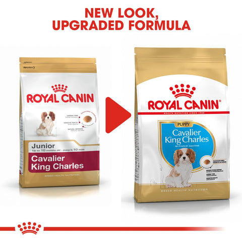 Royal Canin BHN Cavalier King Charles Puppy 1.5kg - Dog Food