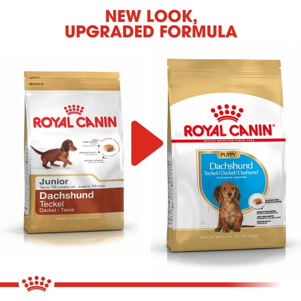 Royal Canin BHN Dachshund Puppy 1.5kg - Dog Food