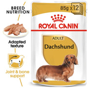 Royal Canin BHN Dachshund Wet Food 12x85g (pouches) - Dog 