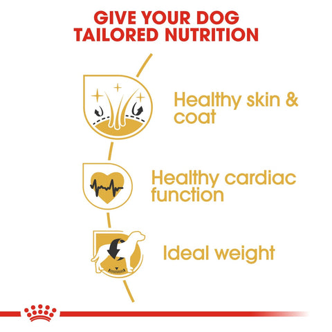 Royal Canin BHN Golden Retriever Adult 12kg - Dog Food