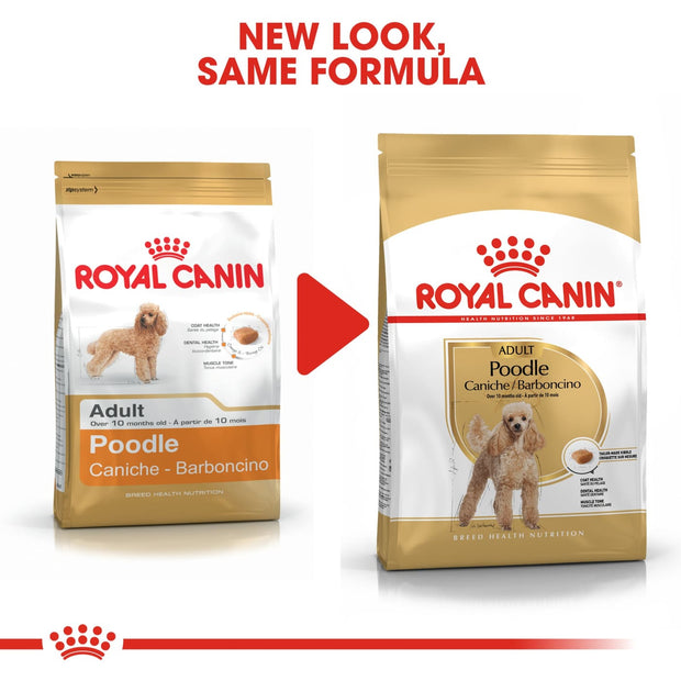 Royal Canin BHN Poodle Adult 1.5kg - Dog Food