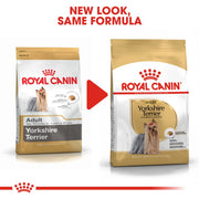 Royal Canin BHN Yorkie Adult 1.5kg - Dog Food
