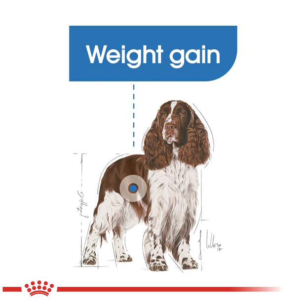 Royal Canin Canine Care Nutrition Medium Light Weight Care -