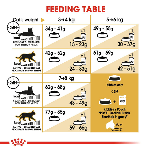 Royal Canin Feline Breed - British Shorthair 4kg - Cat Food