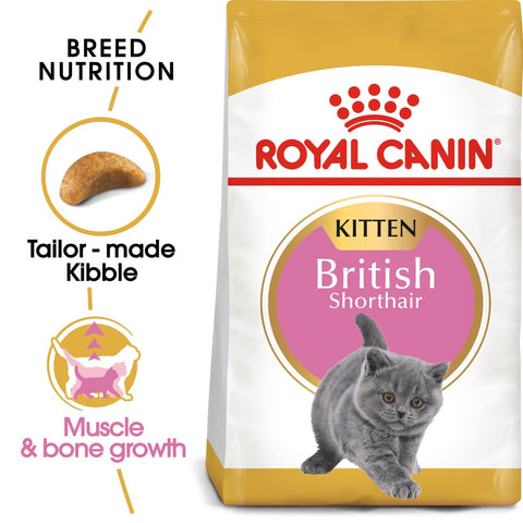 Royal Canin Feline Breed - British Shorthair Kitten 2kg - 
