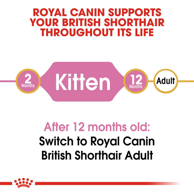Royal Canin Feline Breed - British Shorthair Kitten 2kg - 
