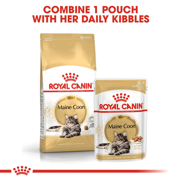 Royal Canin Feline Breed - Maine Coon 2kg - Cat Food