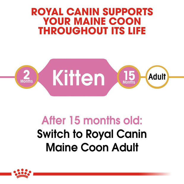 Royal Canin Feline Breed - Maine Coon Kitten 2kg - Cat Food