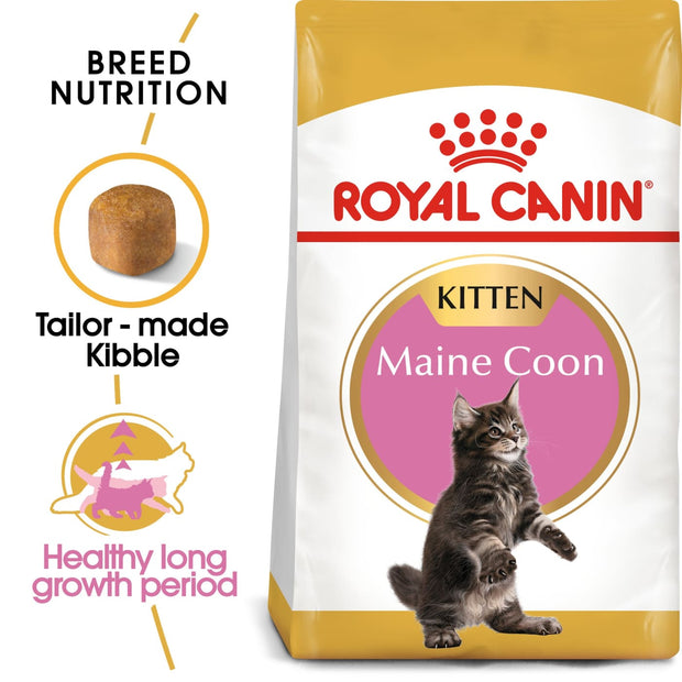 Royal Canin Feline Breed - Maine Coon Kitten 2kg - Cat Food