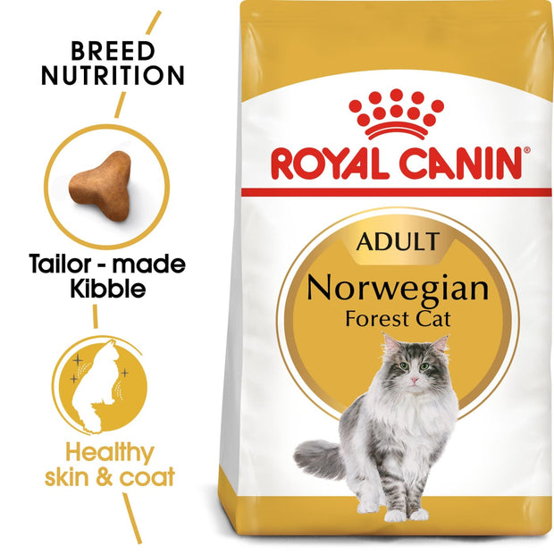 Royal Canin Feline Breed - Norwegian Forest Cat 2kg - Cat 