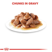 Royal Canin Intense Beauty in Gravy (12x85g) - Cat Food