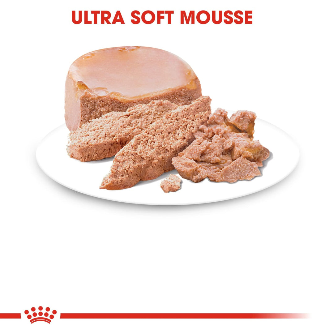 Mother and babycat ultra soft mousse hotsell