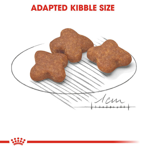 Royal Canin SHN Mini Adult 8+ 2kg - Dog Food