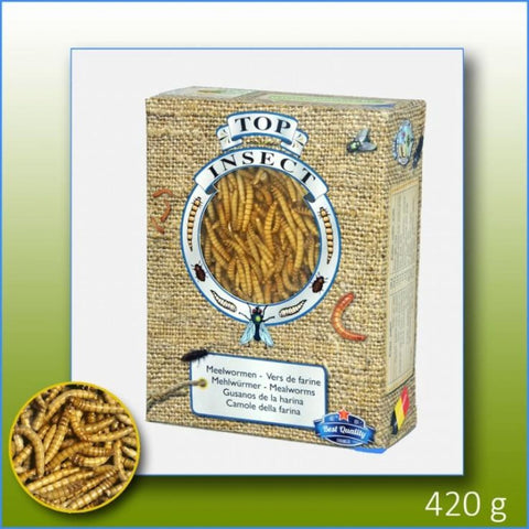 Topinsect Frozen Mealworms 1L (420g) - Food & Health